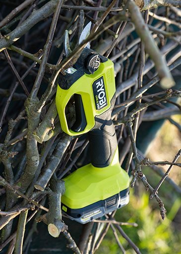 Gartenkalender März: Diese Gartenarbeiten stehen jetzt an