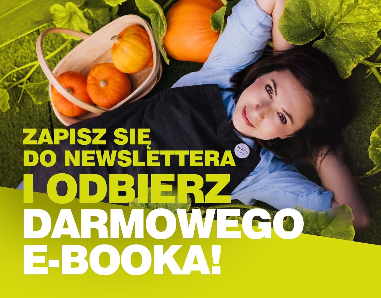 Newsletter RYOBI – odbierz bezpłatny poradnik pielęgnacji trawnika i 10% rabatu