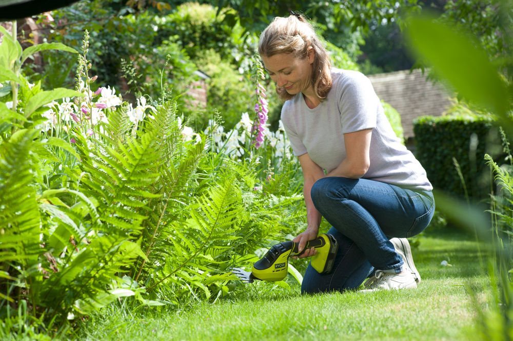 Jak založit jarní záhony a zeleninovou zahrádku? Kalendář výsevů 
