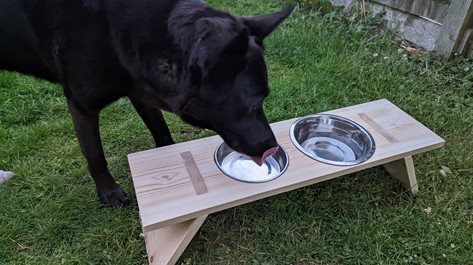 DIY stojan na psí misky