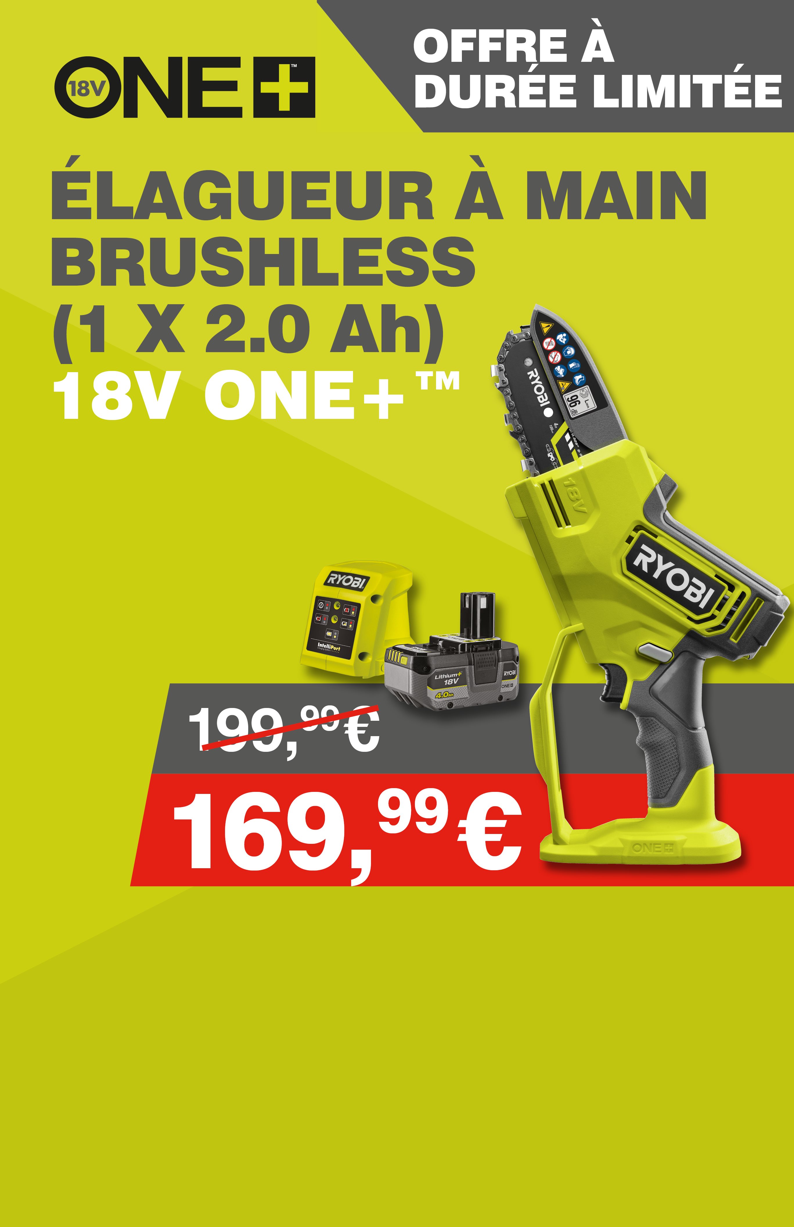 Élagueur à main Brushless 18V ONE+™