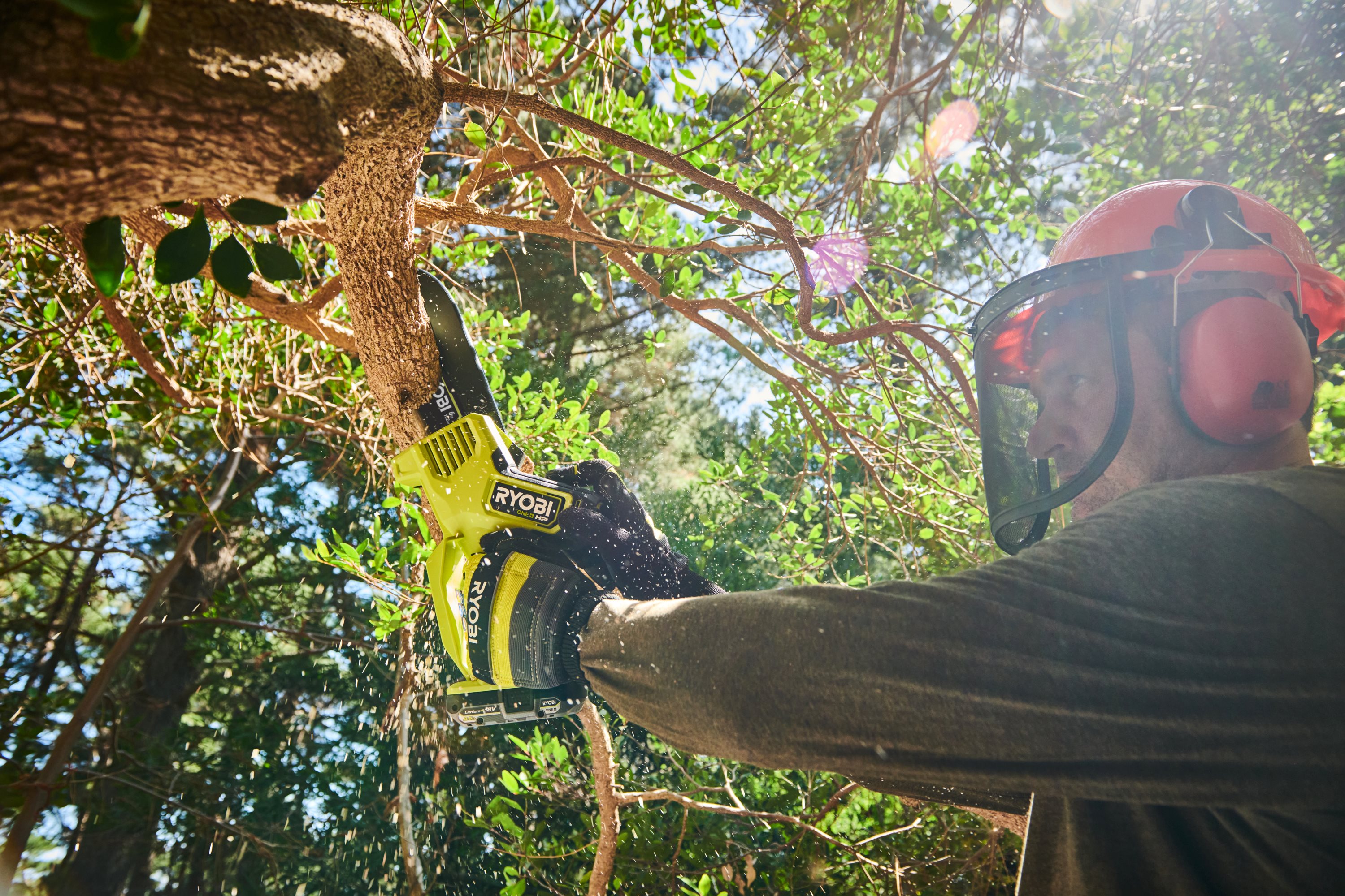 A Guide to Pruning Your garden in Autumn