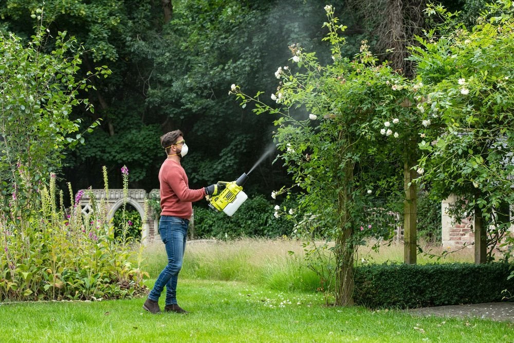 Jarní postřik ovocných stromů - komplexní průvodce 