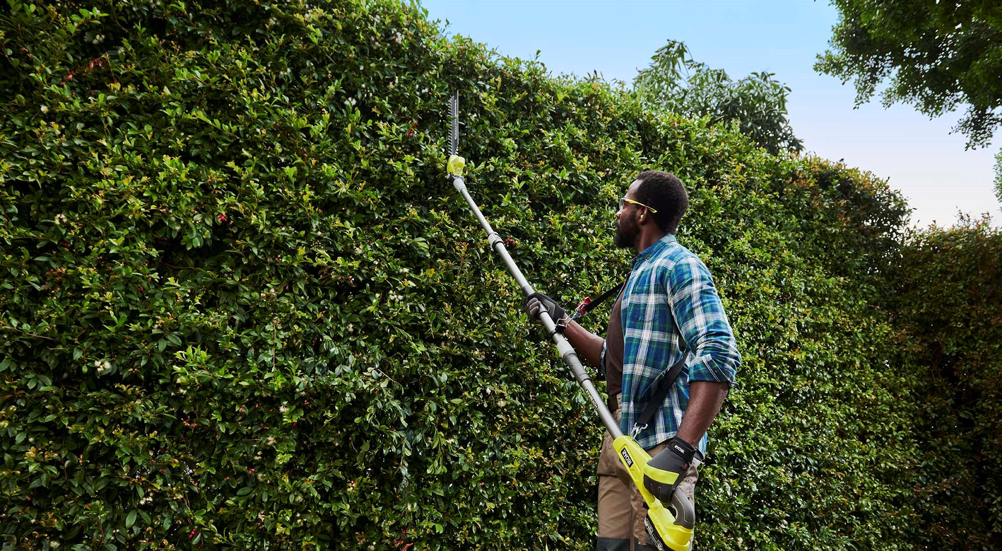 The Best Tree-trimming Tools for Summer