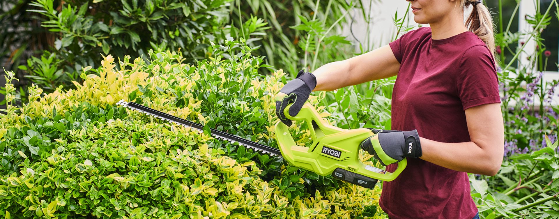 Five essential garden tools for beginners