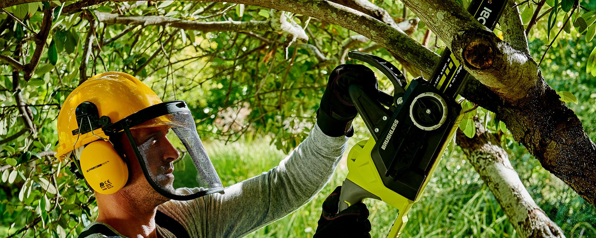 Wilgen knotten met kettingzaag: stap voor stap handleiding