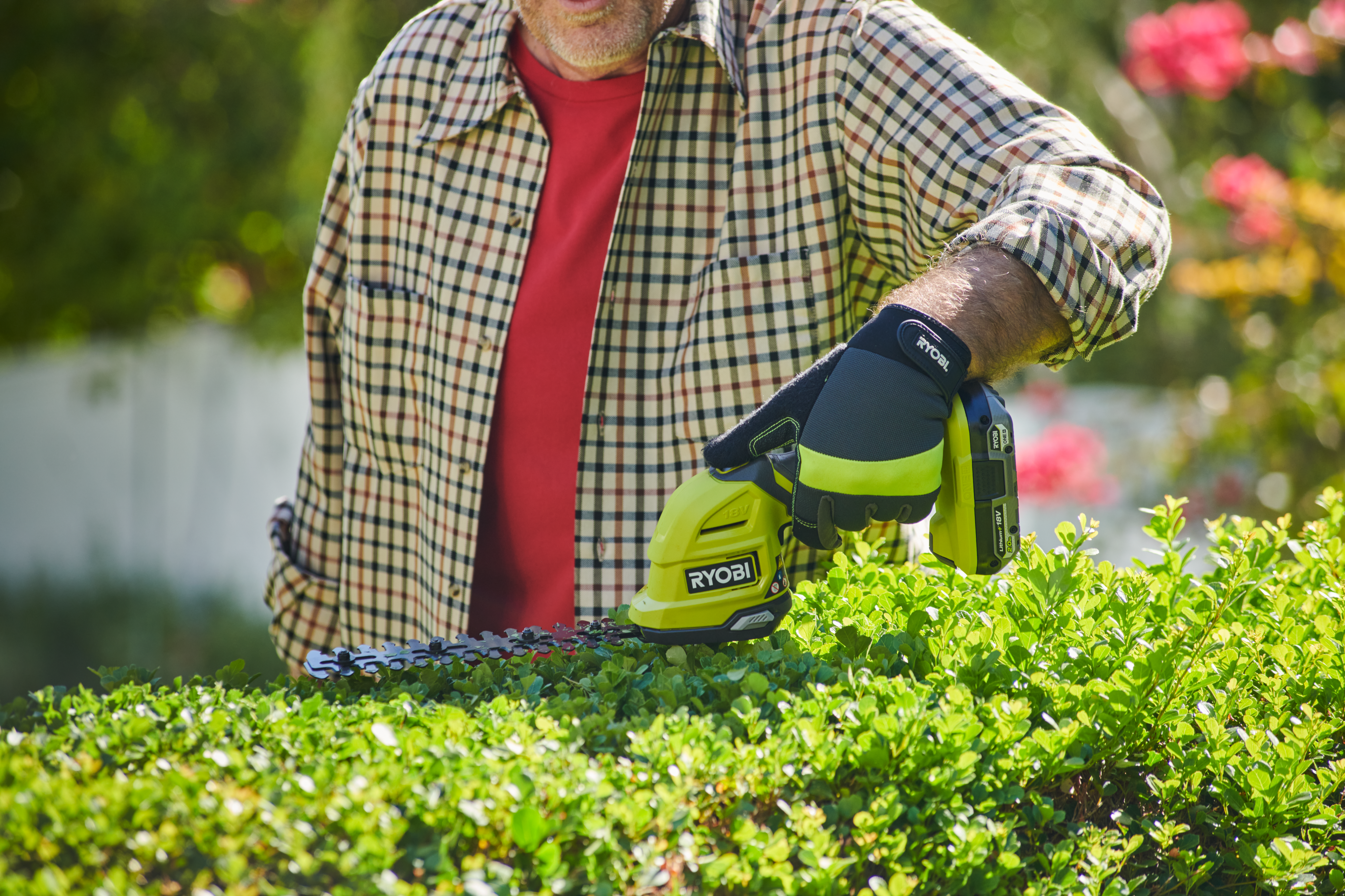Pielęgnacja drzew, krzewów i żywopłotów