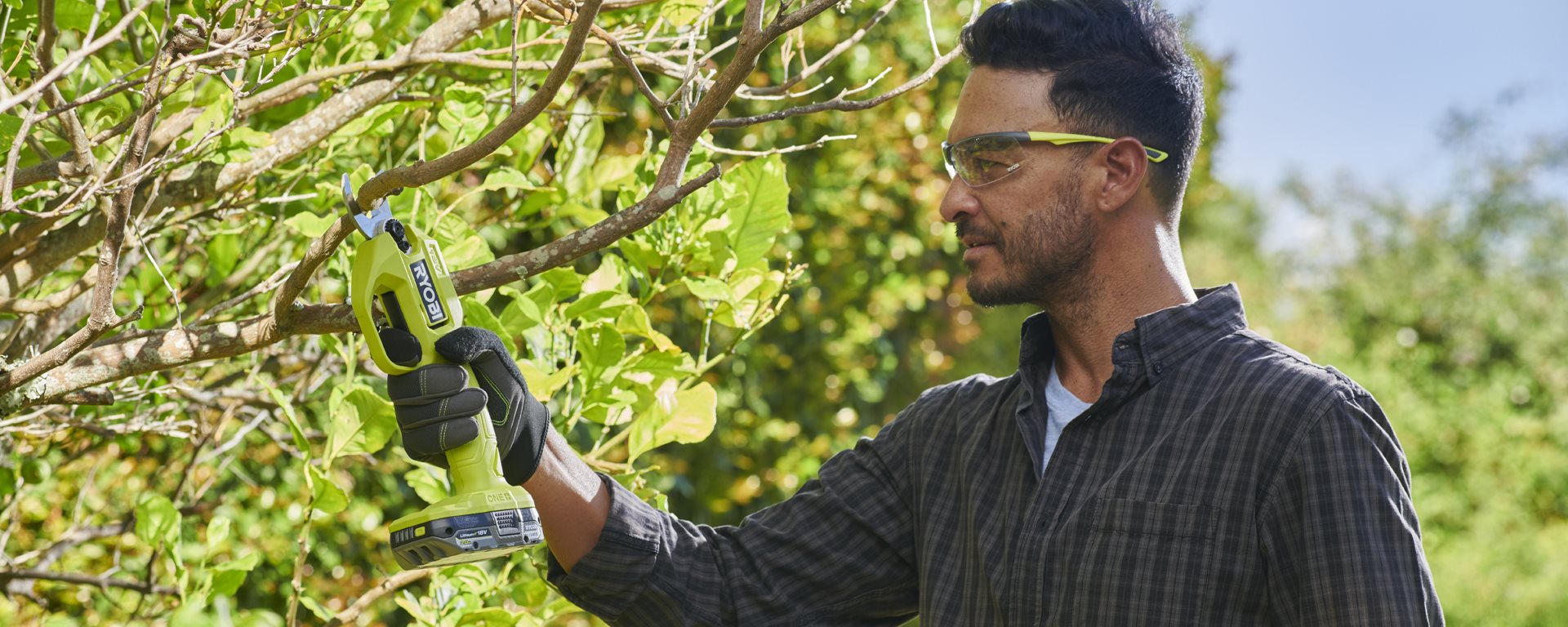 Comment tailler un citronnier en pot ?