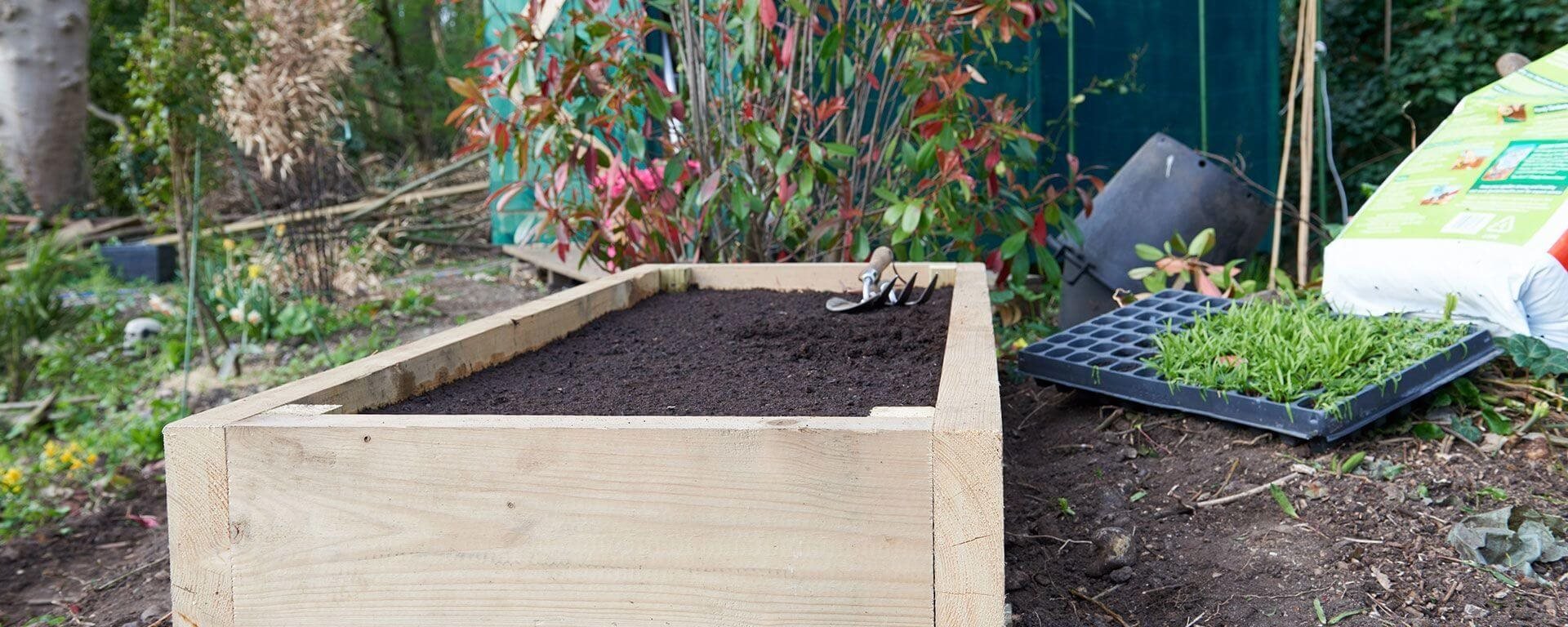 Cultiver des légumes dans un carré potager en bois
