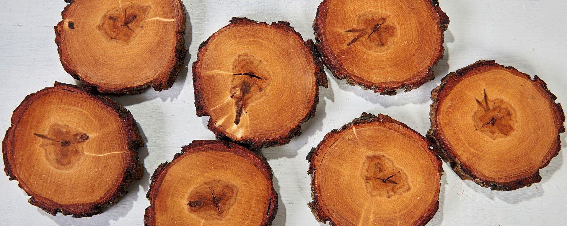 Sådan laver du bordskånere med rustikt træstammedesign