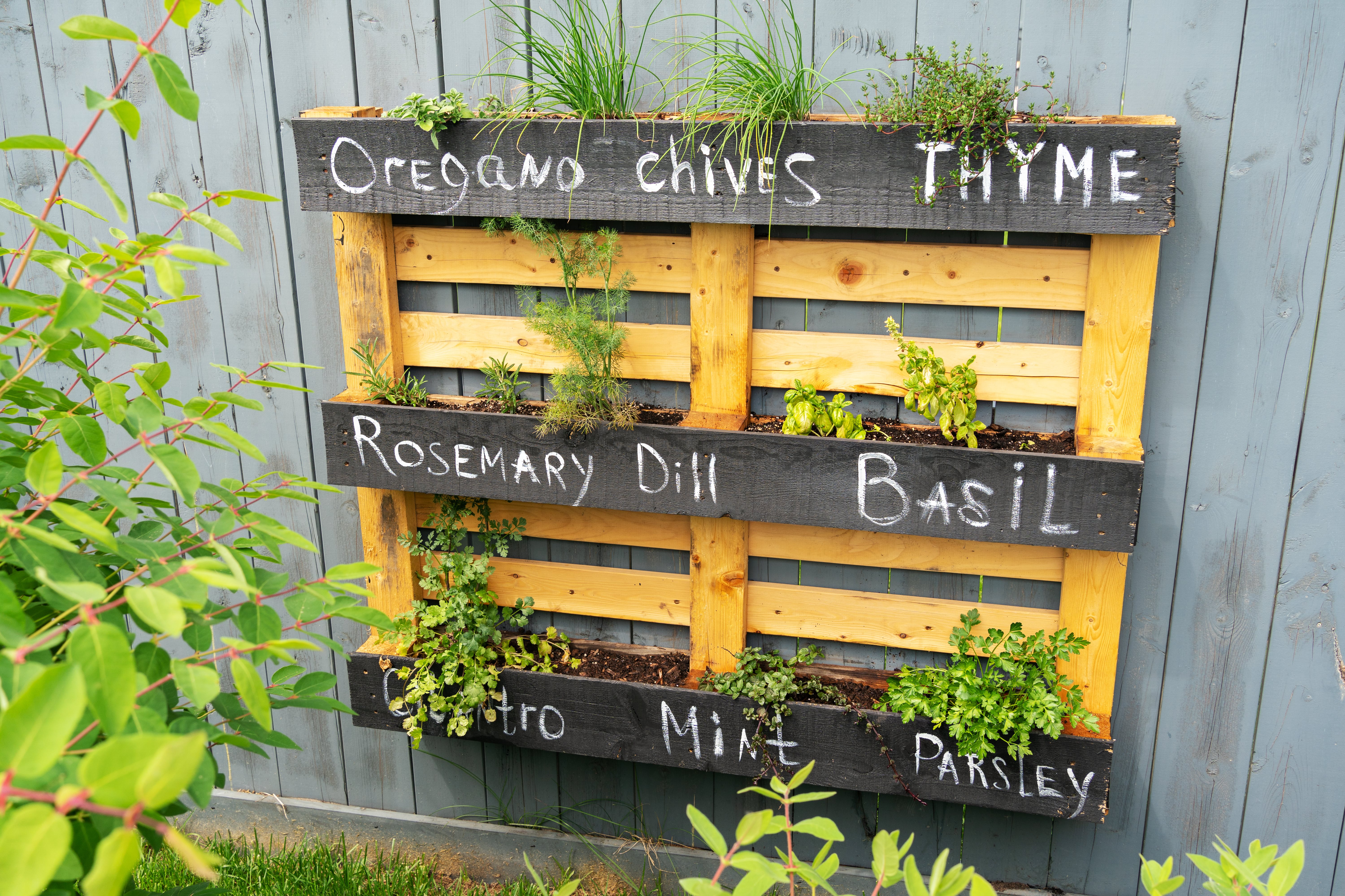 How-to hack: Installing a pallet herb garden