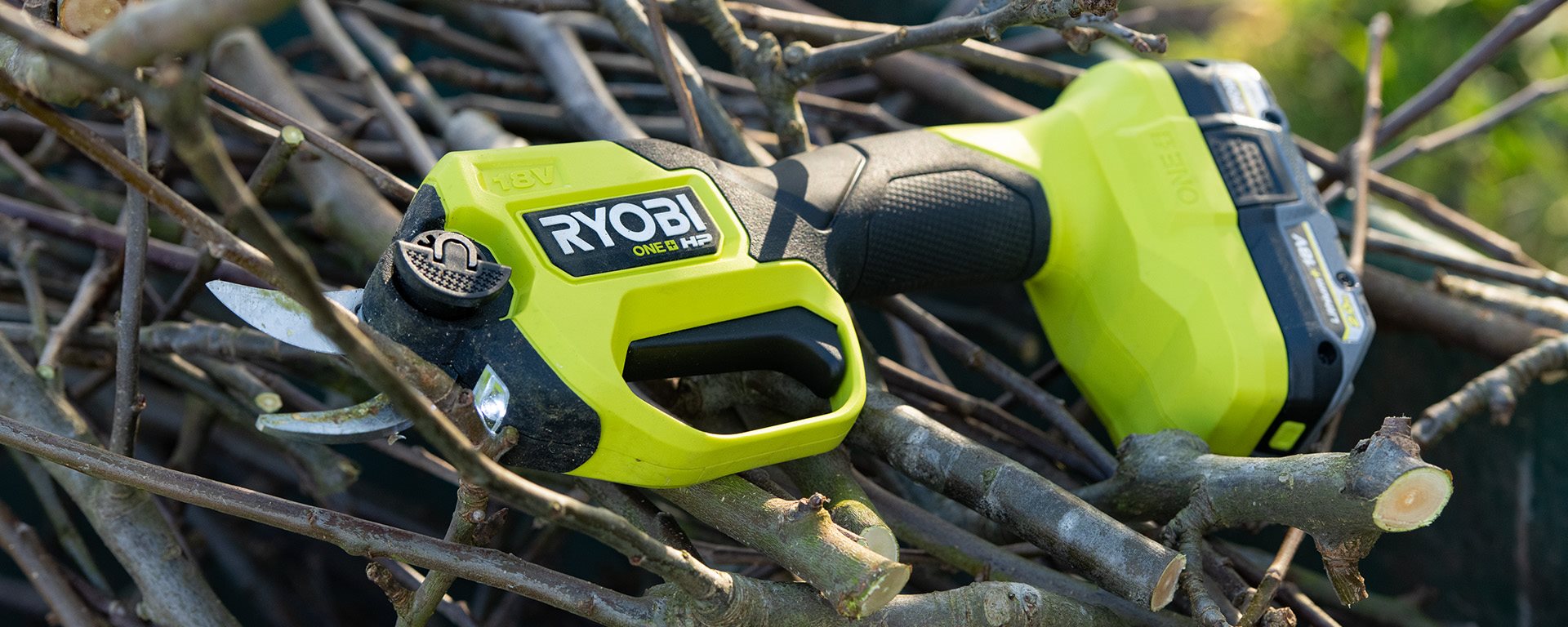 Tuinkalender februari