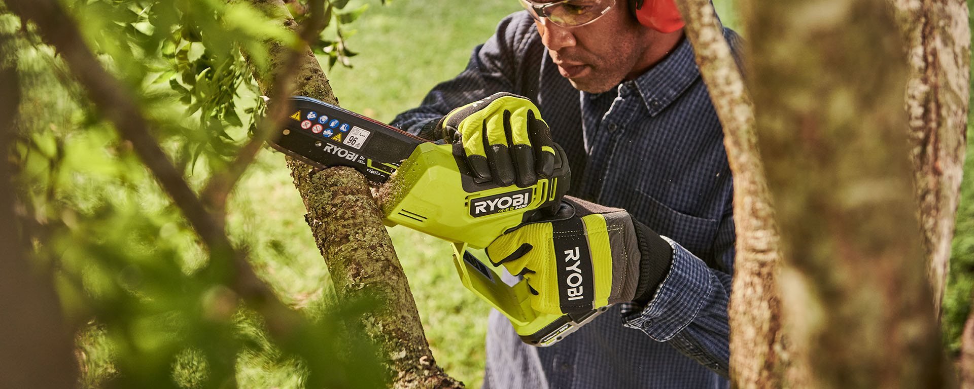 Catalpa snoeien met kettingzaag: de complete handleiding