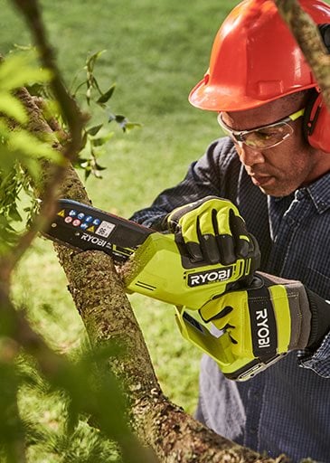 Catalpa snoeien met kettingzaag: de complete handleiding