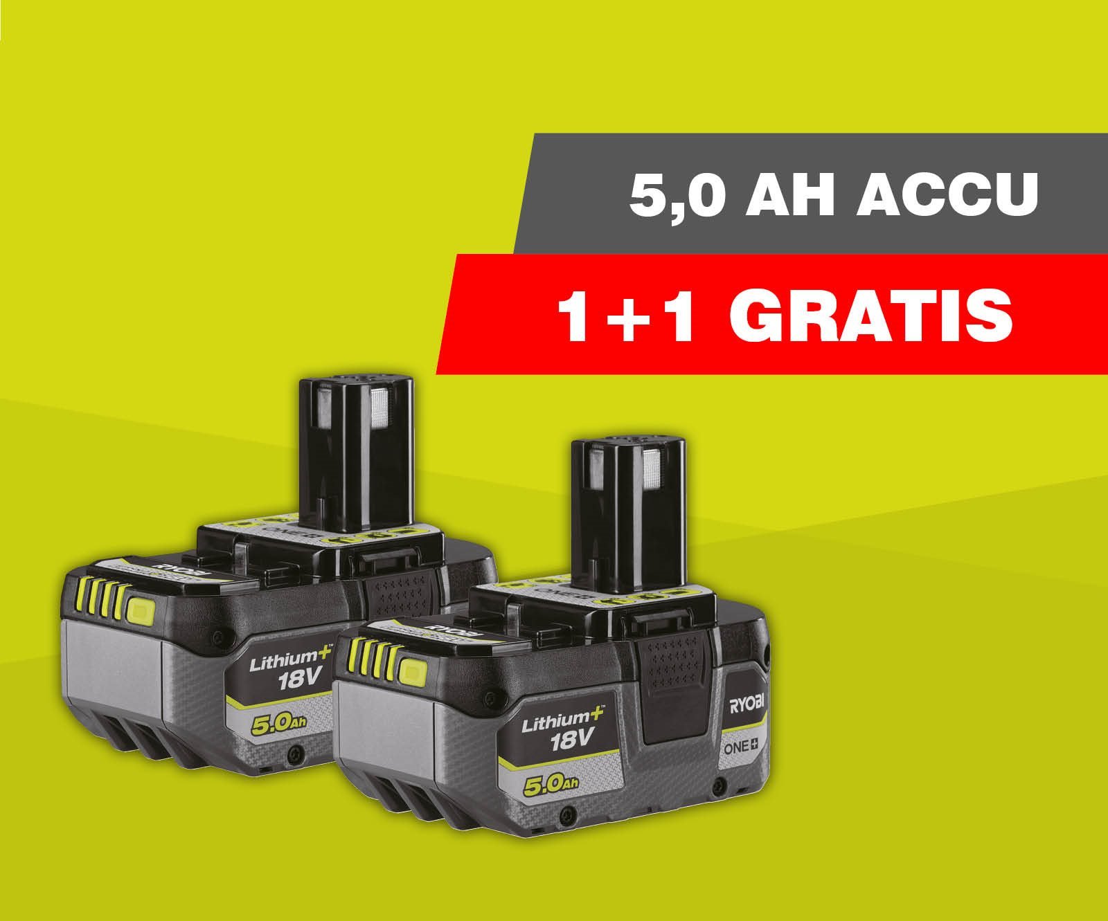 1+1 Gratis - ONE+ 18V 2x 5.0Ah Lithium+ Accu