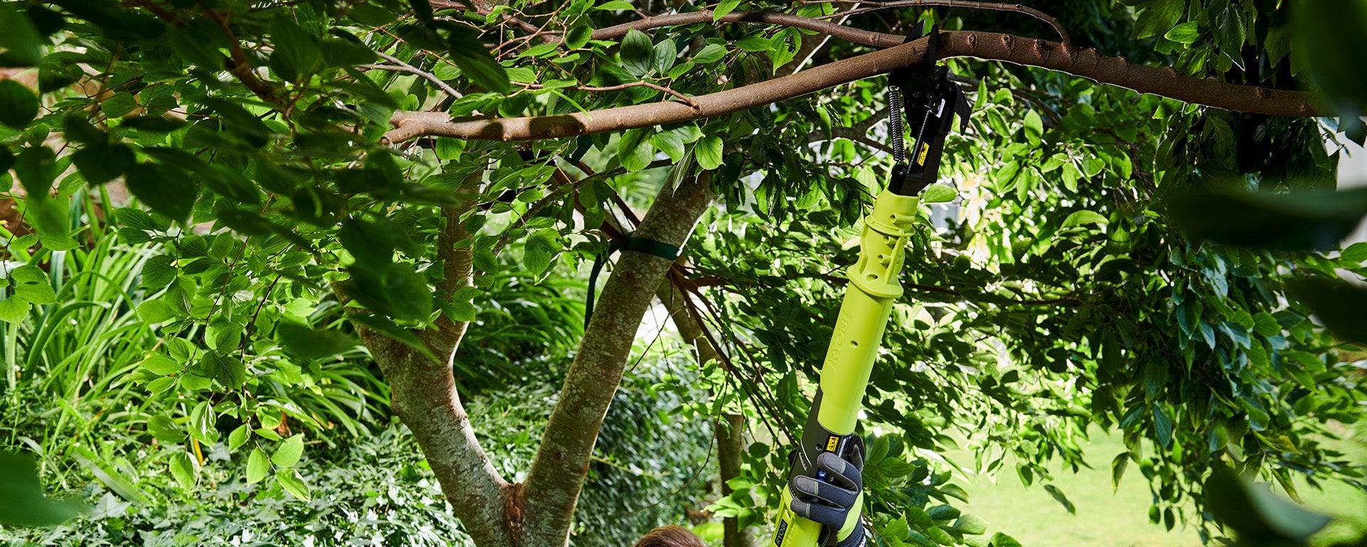 Takkenschaar slijpen: zo houd je je RYOBI snoeischaar in topconditie