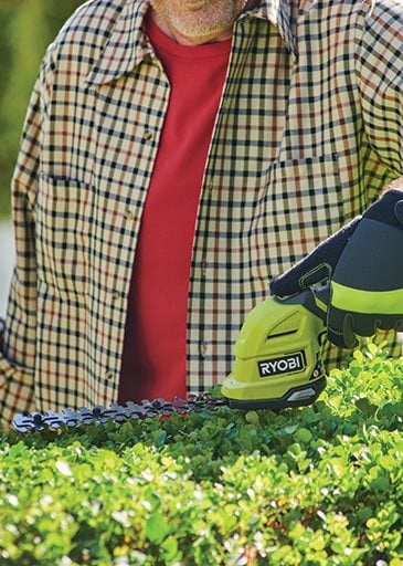 Buxus snoeien met elektrische heggenschaar: zo doe je dat