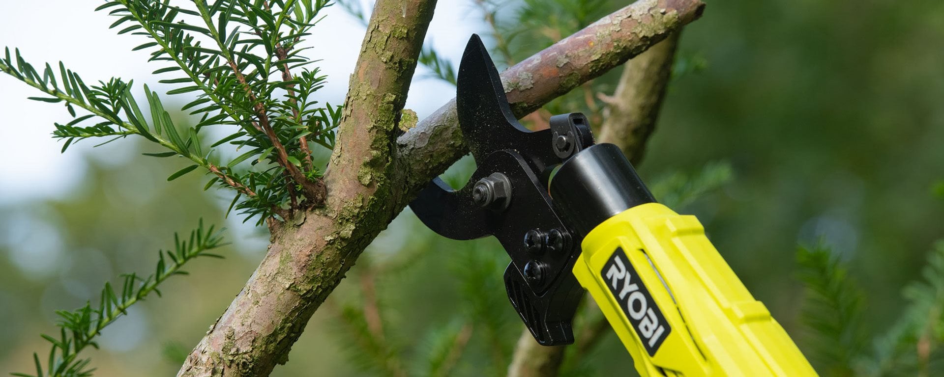 Takkenschaar: de perfecte oplossing voor eenvoudig tuinonderhoud