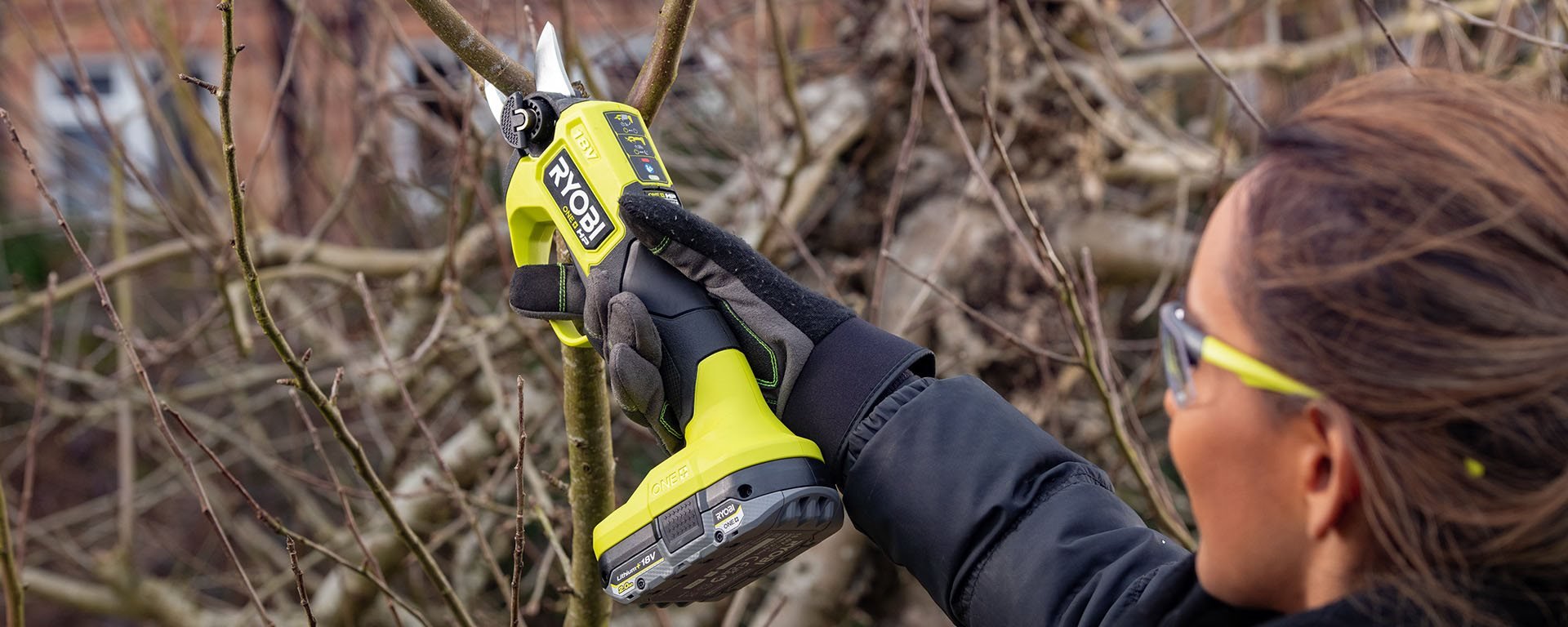 Snoeischaar ontsmetten: zo voorkom je plantenziektes in je tuin