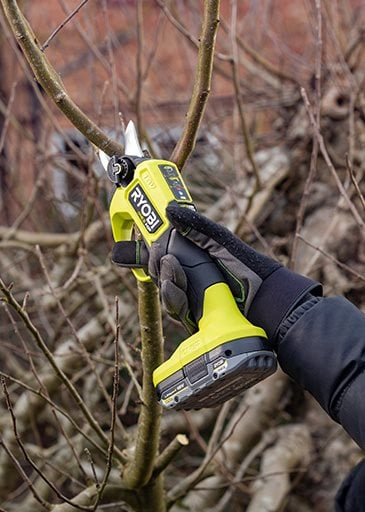 Snoeischaar ontsmetten: zo voorkom je plantenziektes in je tuin