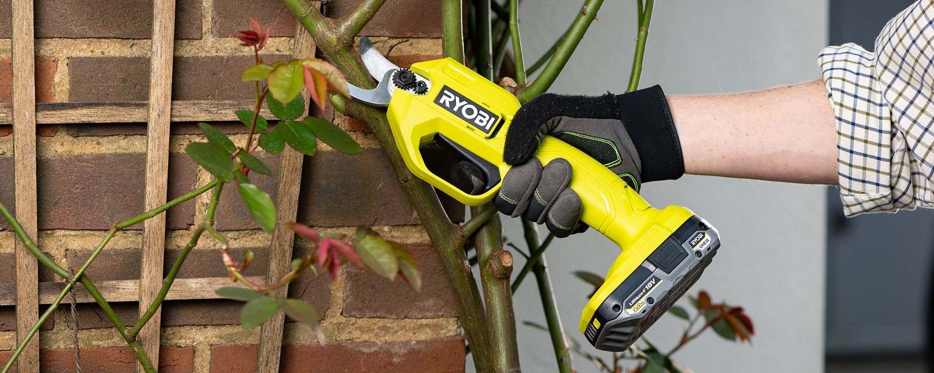 Snoeischaar slijpen met aluminiumfolie: zo wordt je tuingereedschap weer scherp