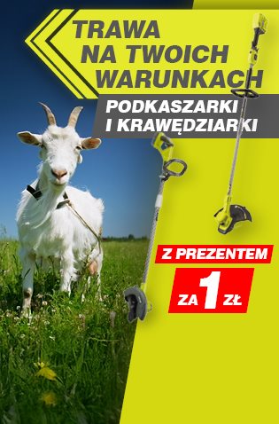 SPRAWDŹ