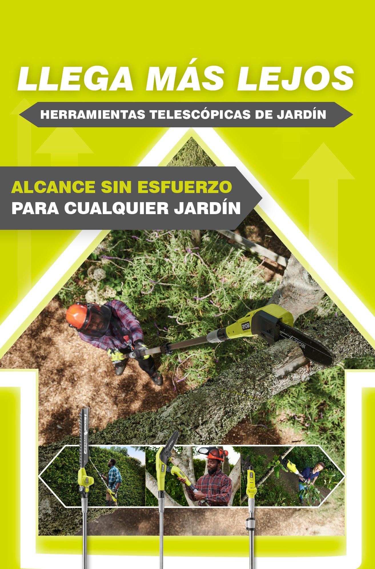 VER LAS OFERTAS