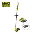 Cortabordes de 33cm 36V MAX POWER™ (1x 2.0Ah)_hero_0