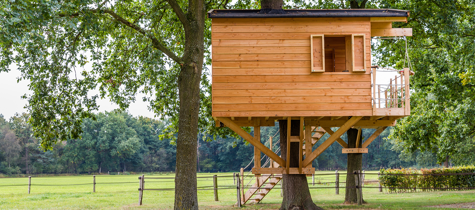 Tips for Building a Treehouse in Your Back Garden 