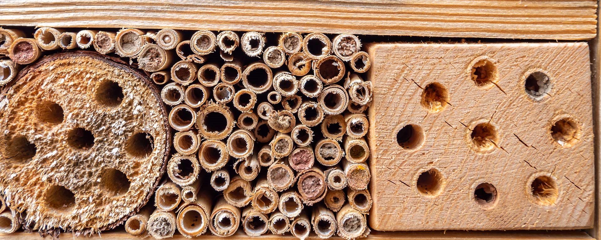 How To Build A Bug Hotel