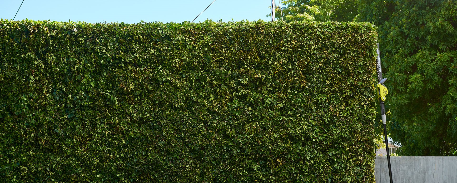 What is the difference between a hedge trimmer and a hedge cutter
