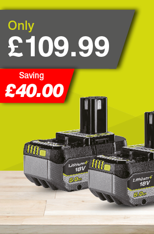 GREEN FRIDAY – TWIN 5.0AH BATTERIES
