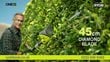18V ONE+™ Cordless 2.9m Pole Hedge Trimmer Starter Kit (1 x 2.0Ah)_youtube_video_11