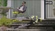 Taille-haies LINEA 18V ONE+™ - 55 cm (1 x 4,0 Ah)_youtube_video_2