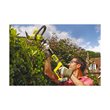 18V ONE+™ 50cm Cordless Long Reach Hedge Trimmer (Bare Tool)_app_shot_1