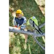 18V ONE+™ 3m Cordless Pole Saw (Bare Tool)_app_shot_6