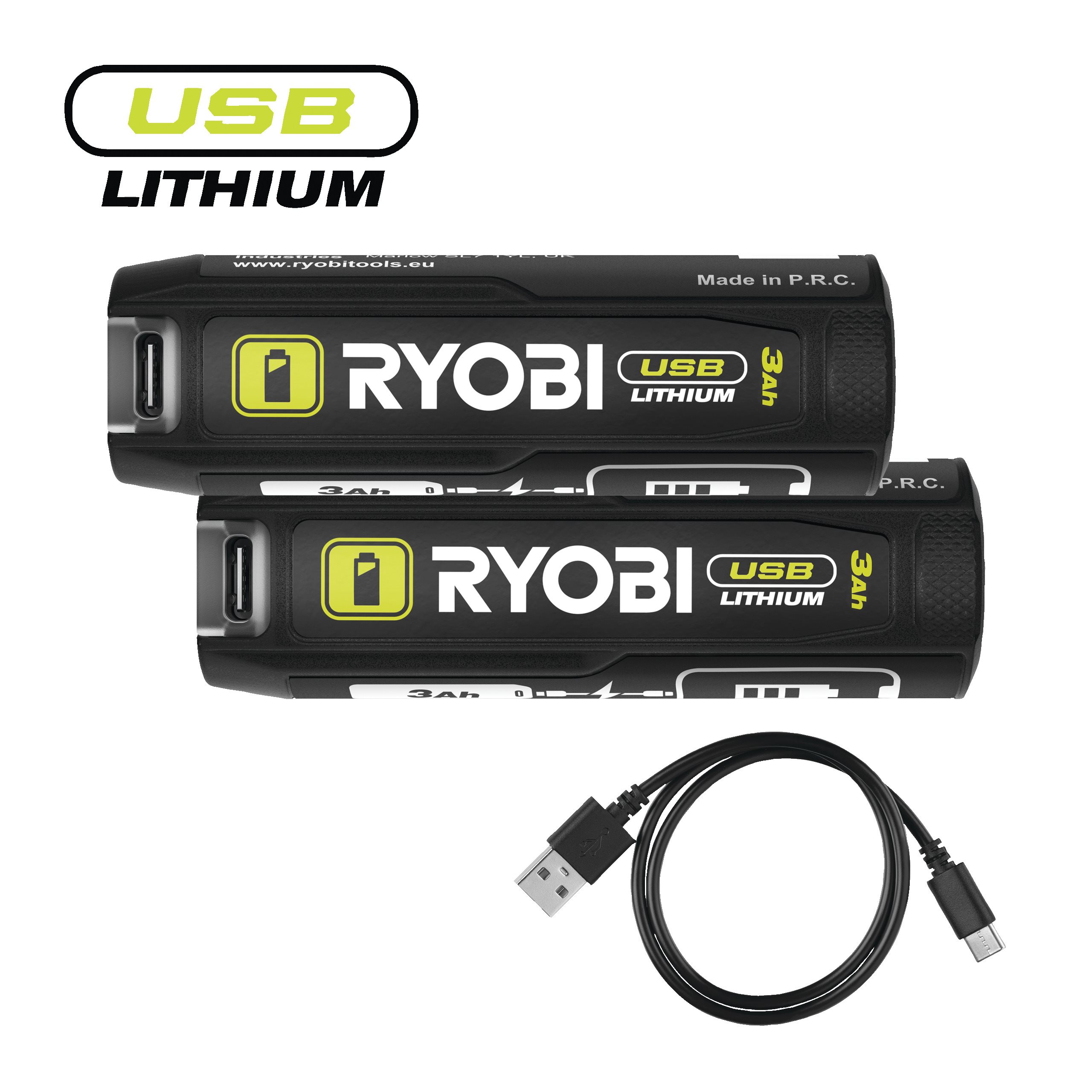 Ryobi twin pack discount