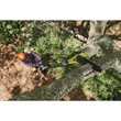 ONE+™ 18V 20 cm Telescopische Accu Snoeikettingzaag & 45 cm Heggenschaar Combokit (incl. 1x 2,0 Ah accu & lader)_app_shot_7