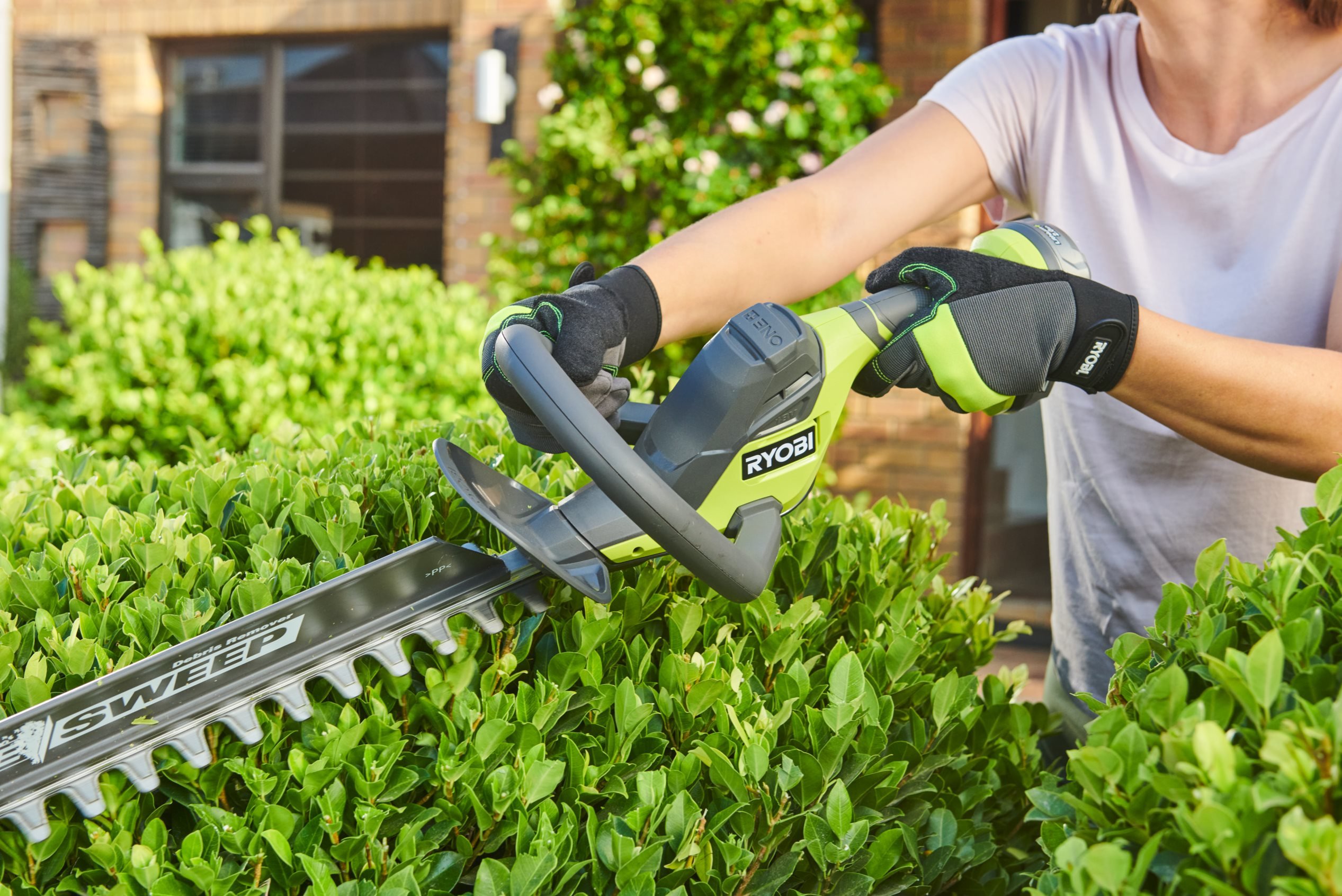 Ryobi Pole Hedge Ryobi One Hedge Trimmer Kit Bunnings Ryobi