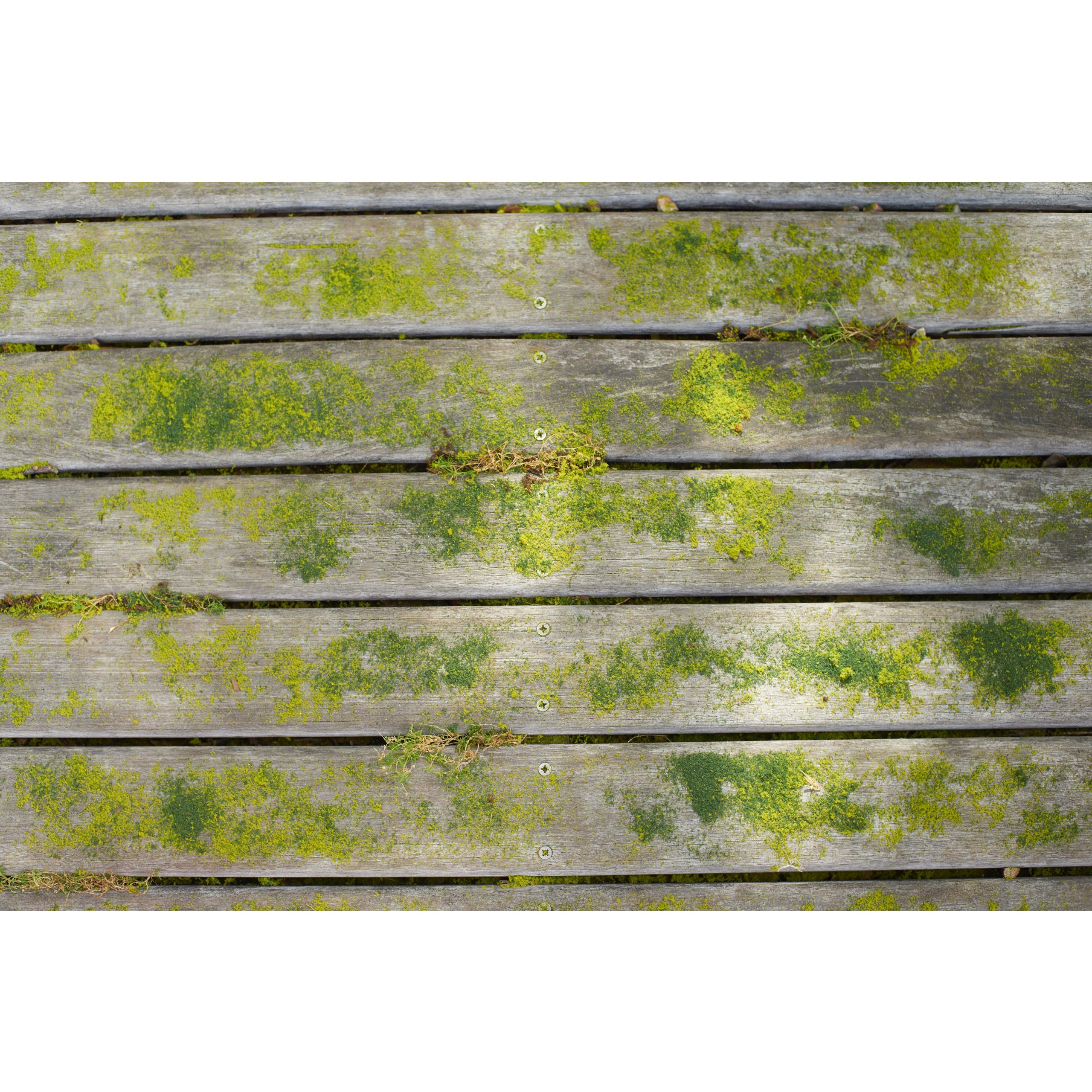 Ryobi RAC820 | Hout Schrobborstel - 5132004737 - 5132004737 Ryobi RAC820 | Hout Schrobborstel - 5132004737 - 5132004737
