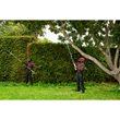 18V ONE+ EZ REACH™ Cordless 3m Telescopic Hedge Trimmer (1 x 2.0Ah)_app_shot_2