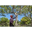 EZ REACH™ 18V ONE+™ Cordless 2.9m Telescopic Pole Saw (1 x 2.0Ah)_app_shot_6