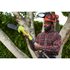 EZ REACH™ 18V ONE+™ 20cm Telescopic Pole Saw (1 x 2.0Ah)_app_shot_2