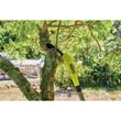 EZ REACH™ 18V ONE+™ Cordless 2.9m Telescopic Pole Saw (1 x 2.0Ah)_app_shot_5