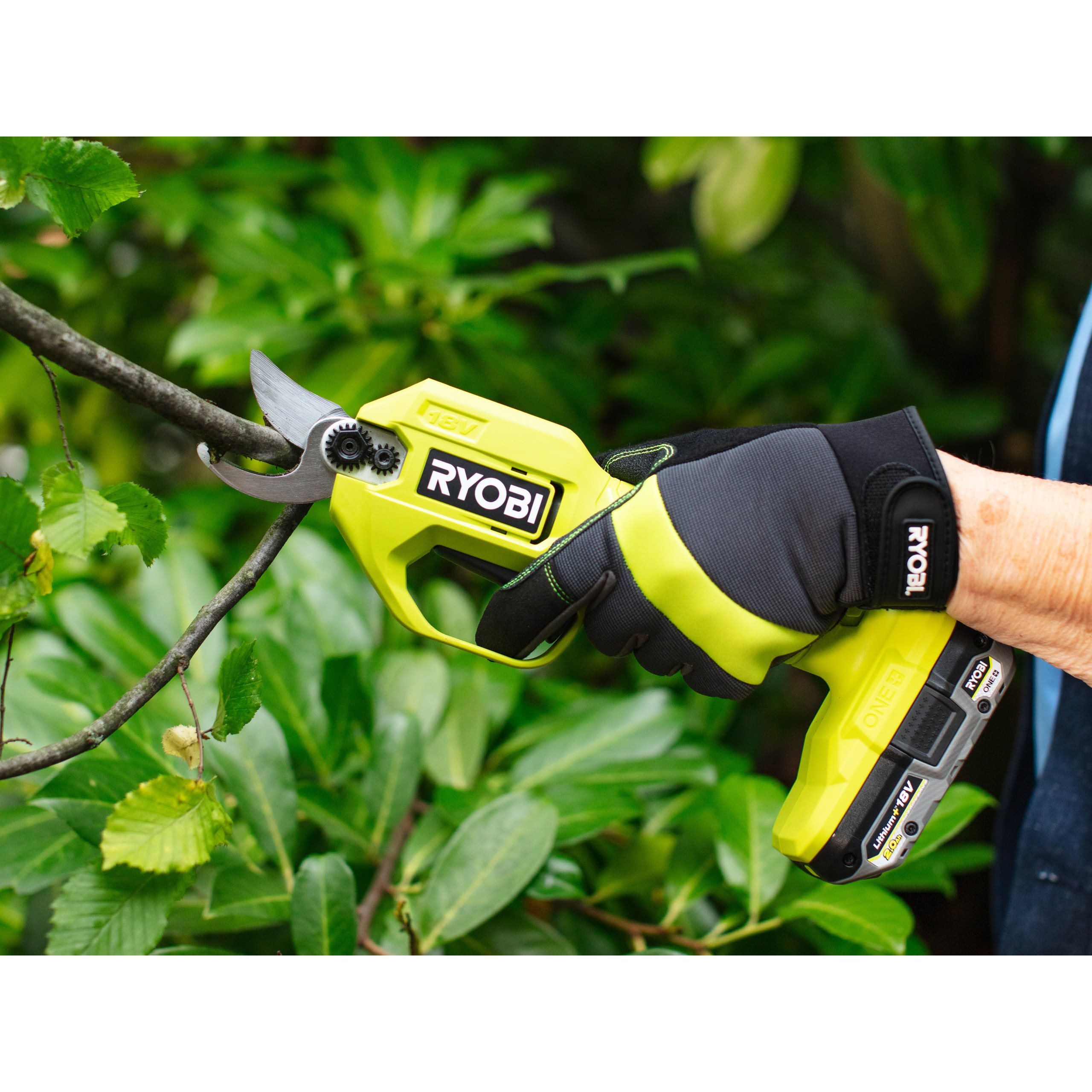 Ryobi Brushless Hedge Trimmer Ryobi One Oht1855r Ryobi Hedge