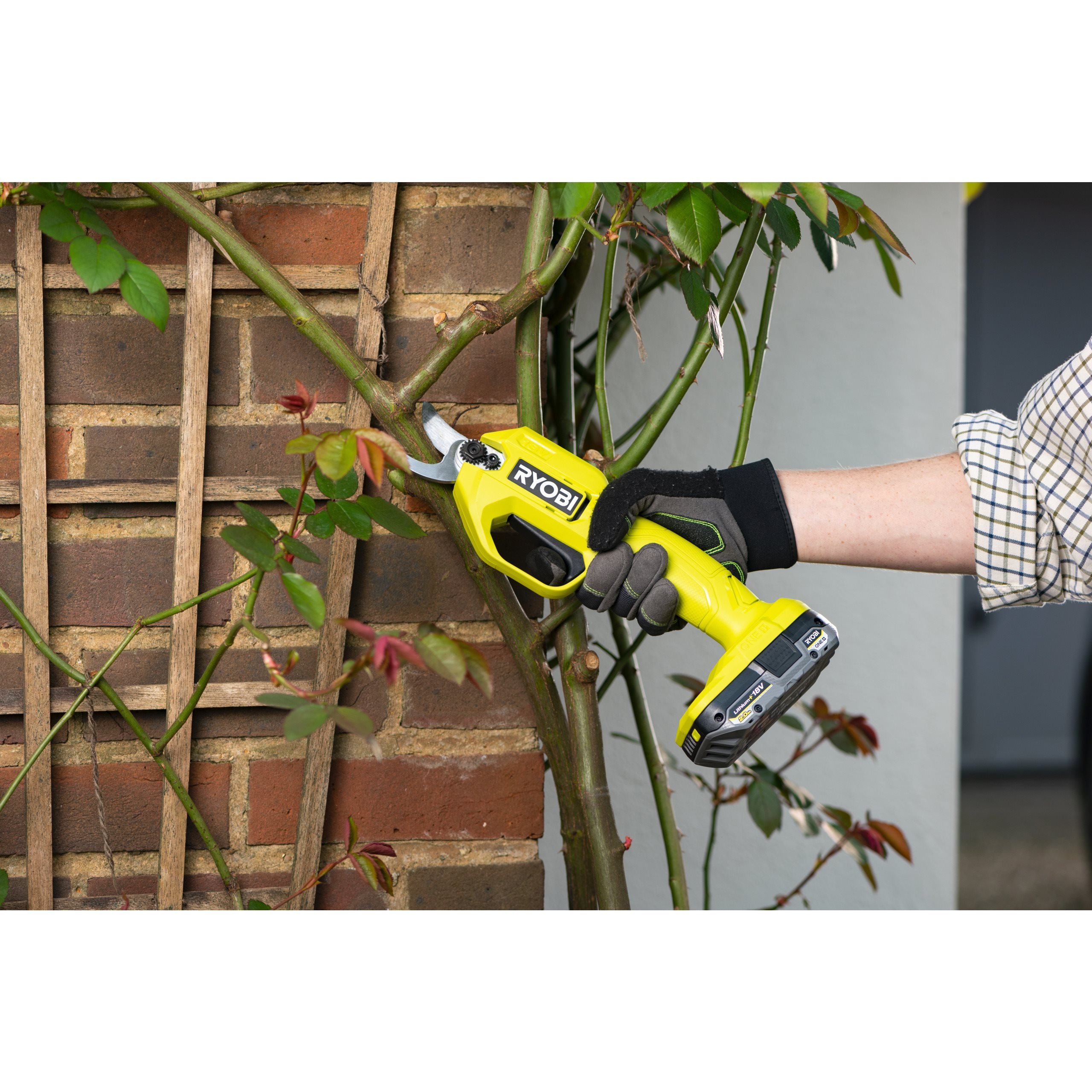 Cordless Secateurs Pruning Shears RYOBI 18V ONE+™ RY18SCA-0