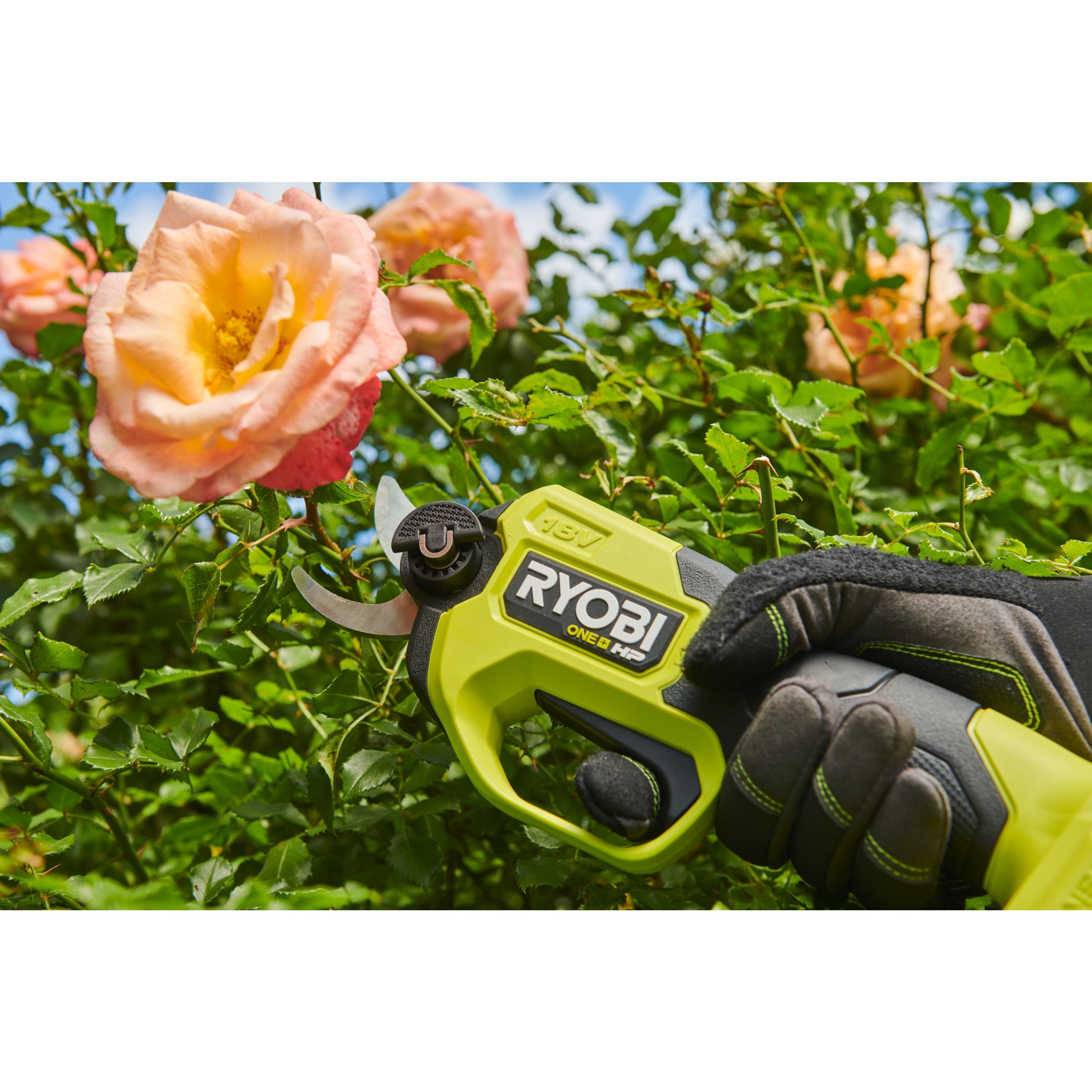 Sekator bezszczotkowy 18V ONE+™ HP w zestawie z walizką