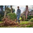 Dmuchawa bezprzewodowa WHISPER™ MAX POWER 36V_app_shot_3