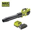 Soplador sin escobillas silencioso 36V MAX POWER™ Whisper™ (1 x 5.0Ah)_hero_0