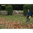 Soplador Brushless silencioso 289.7 km/h 36V MAX POWER WHISPER™ (1x 6.0Ah)_app_shot_4